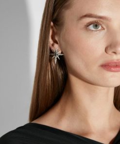 Stillwind.shop1106904ec3 2