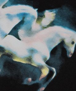 Stillwind.shop23075935e5 2