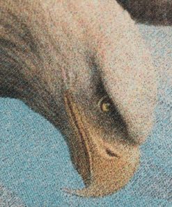 Stillwind.shop5e225344c2 4