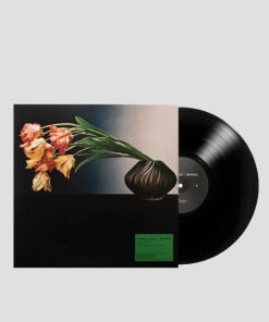 Stillwind.shop9a4e3faf99 1